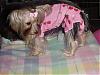 Destiny all comfy in her pj's!!-destiny-pink-outfit-2.jpg