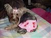 Destiny all comfy in her pj's!!-destiny-pink-outfit-05.jpg