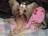 Destiny all comfy in her pj's!!-destiny-pink-outfit-01.jpg