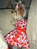 Tinkerbell in her Valentine's dress made by Mommy!!!-picture-2560.jpg