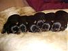 6 Pack (new puppies)-mvc-015f.jpg