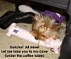 How do you kill a bobo dog? Let Chloe show you....-z-chloe-bobo-cave.jpg