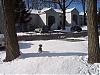 Monkeys In The Snow!-100_5147.jpg