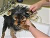 First Bath-1stbath_a.jpg