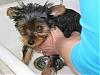 First Bath-1stbath_b.jpg