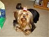 Ruby Cupcake is Back With Pictures-dsc04349.jpg