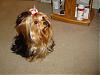 Ruby Cupcake is Back With Pictures-dsc04350.jpg