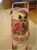 My baby DOLL, in a stroller!!!-picture-2626.jpg