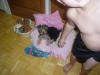 New picts of Princess 3months old.-brownieprincess1-013.jpg