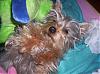 Its Little Miss Lillian-101_1294.jpg