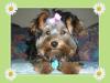 look at my baby!!!-groom2_framed.jpg