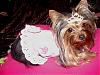 Hello everybody.... newbie here.-princesslillie2.jpg
