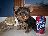 Check out little Coby in Chicago!!!-coby3.jpg