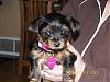 New pictures of my lil girl!!-keely-21007.jpg