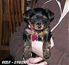 New pictures of my lil girl!!-keely-2102007.jpg