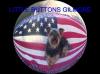Patriotic Buttons-buttons-gilmore.jpg