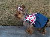 Bella's V-day dress from yougetthesmiles-p2121362.jpg