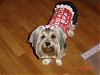 Sophie says Happy Valentines Day YT!!-album-3-226-480-x-360-.jpg