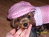 Bella's 1st B-day-100_1698.jpg