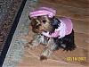 Bella's 1st B-day-100_1699.jpg