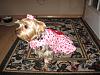 Carley is One Today!!-carley-valentines-dress.jpg