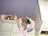 Izzy and Luna's haircuts!-p2210005.jpg