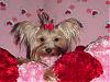 Destiny's Valentine Day Pictures!!!-destiny-valentine-06.jpg