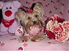 Destiny's Valentine Day Pictures!!!-destiny-valentine-02.jpg