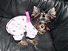 Check out Jewelina's new PJ's!!-jewelinapjs2.jpeg