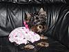 Check out Jewelina's new PJ's!!-jewelinapjslayingdown.jpeg