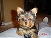 Check out little Coby in Chicago!!!-101_0806.jpg