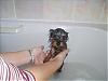 bath time lol-p1010273.jpg