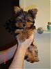 Check out little Coby in Chicago!!!-101_0833.jpg
