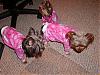 Come join our pj party!!-p1251667.jpg