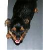 Let's see your tongue pictures!-marty2.jpg