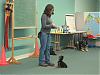I'm the class example!-puppy-class.jpg