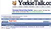 How to Use YorkieTalk-new-thread.jpg