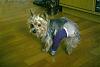 Click image for larger version

Name:	IMG_0218.JPG
Views:	1019
Size:	157.2 KB
ID:	34