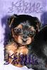 Click image for larger version

Name:	Kikyo_3weeks copy.jpg
Views:	88
Size:	34.9 KB
ID:	31